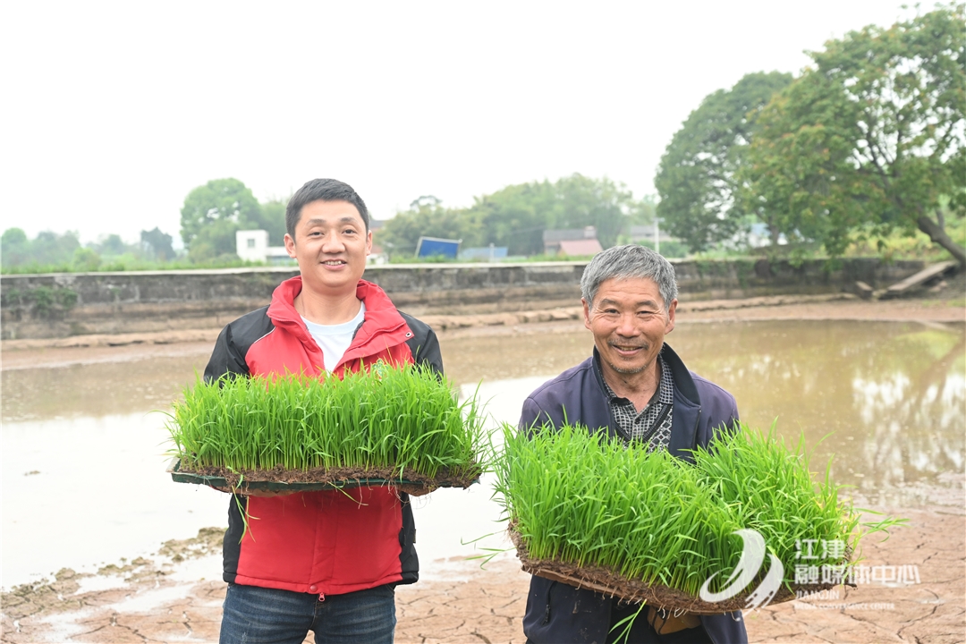 的乾旱形勢,江津區供銷社深知